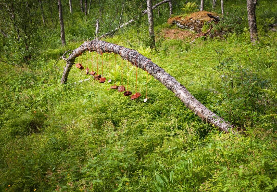Hilde Angel Danielsen, Resilience bows in birch forest, 2023